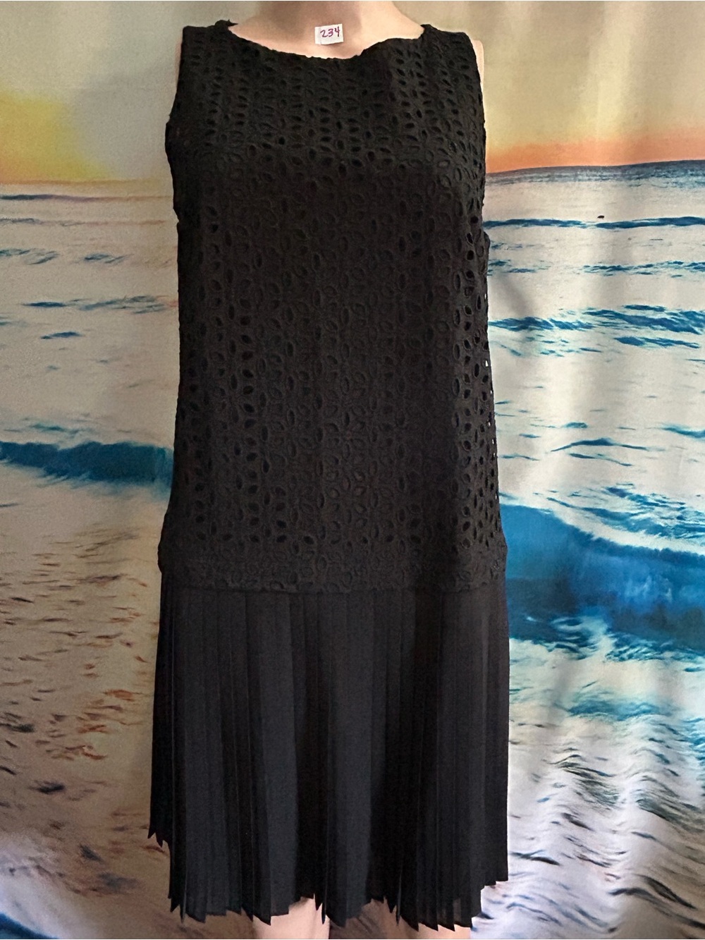 Loft Women’s Black Lace & Pleated Hem Sleeveless Dress SZ 6 NWT